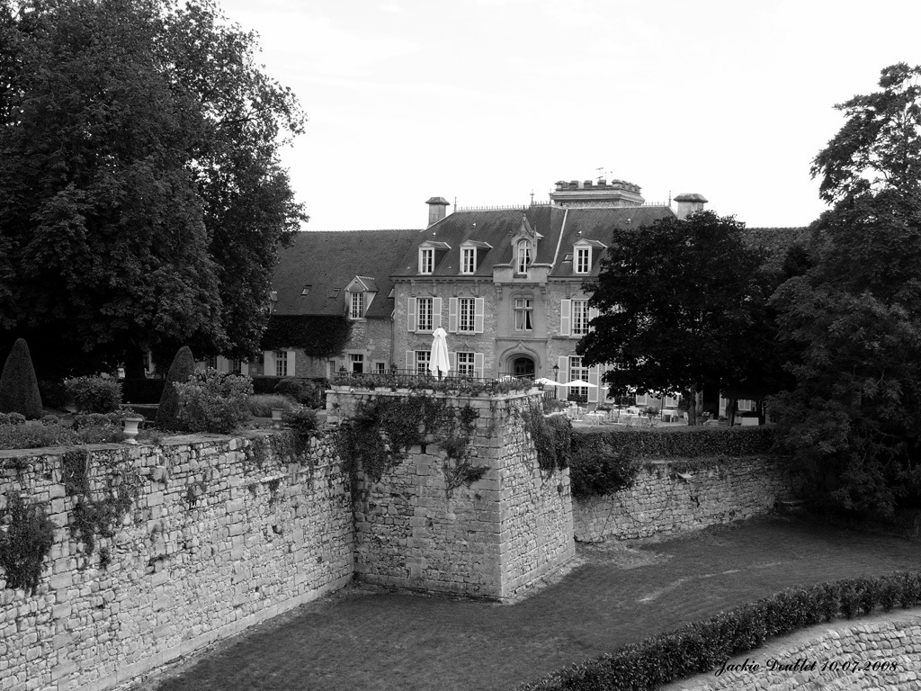 Fère-en-Tardenois (Château) 10072008 (21)