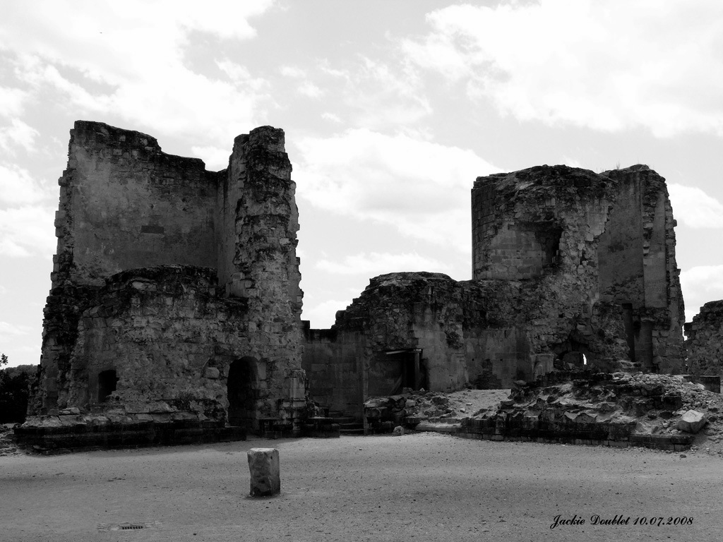 Fère-en-Tardenois (Château) 10072008 (27)