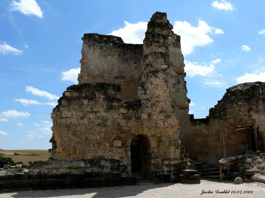 Fère-en-Tardenois (Château) 10072008 (32)