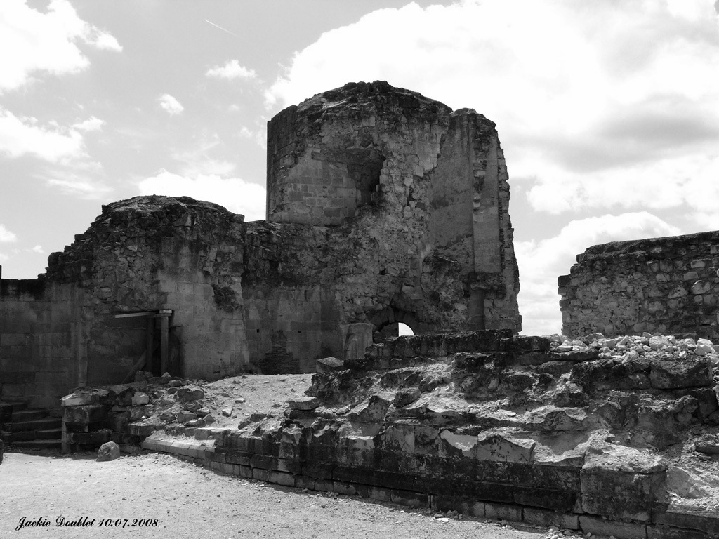 Fère-en-Tardenois (Château) 10072008 (33)