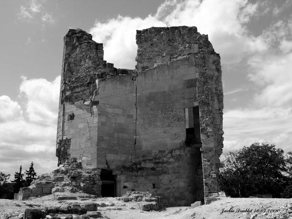 Fère-en-Tardenois (Château) 10072008 (35)