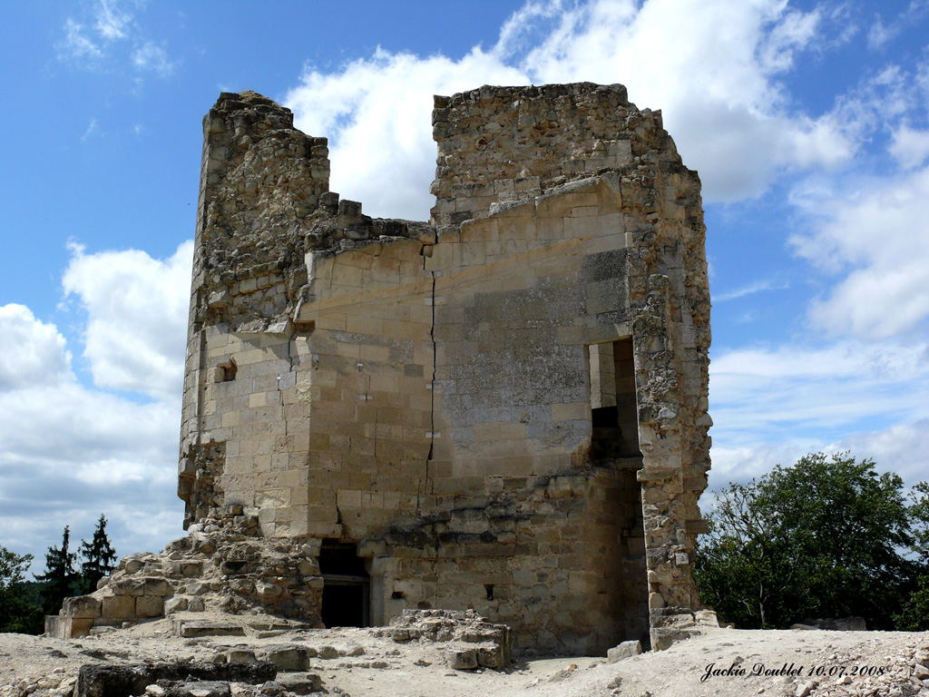 Fère-en-Tardenois (Château) 10072008 (36)