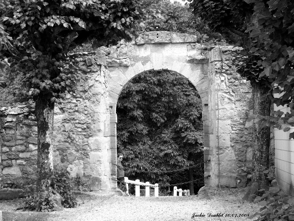 Fère-en-Tardenois (Château) 10072008 (55)