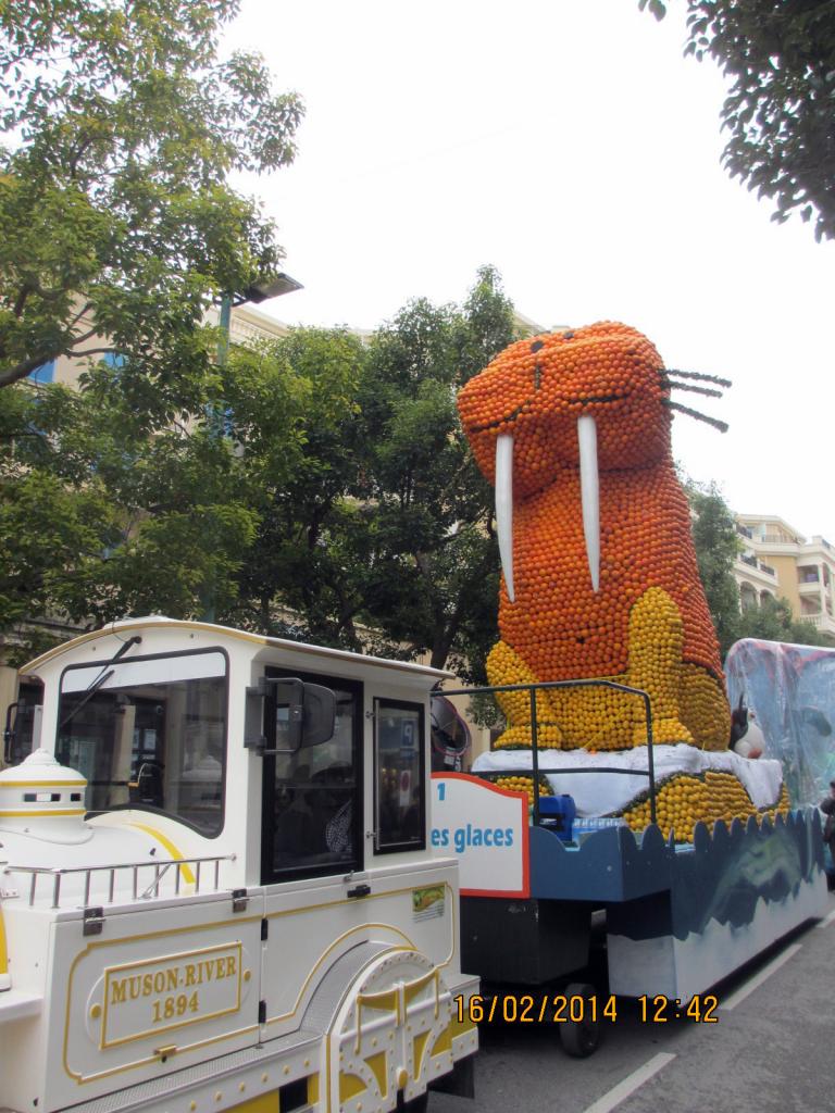 Fête des citrons 2014 (10)