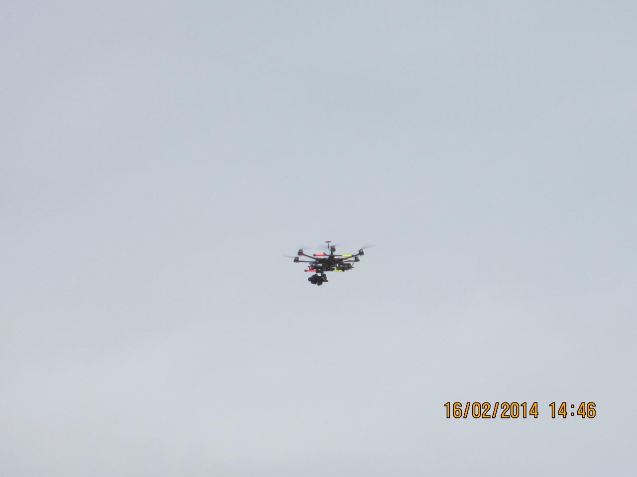 Fête des citrons 2014 (16)