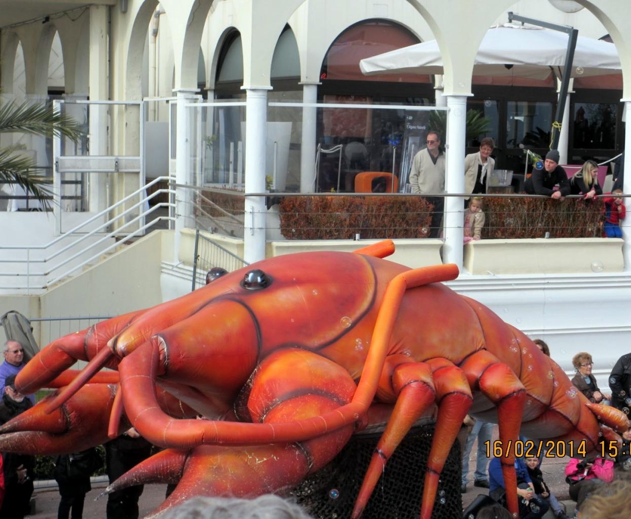 Fête des citrons 2014 (27)