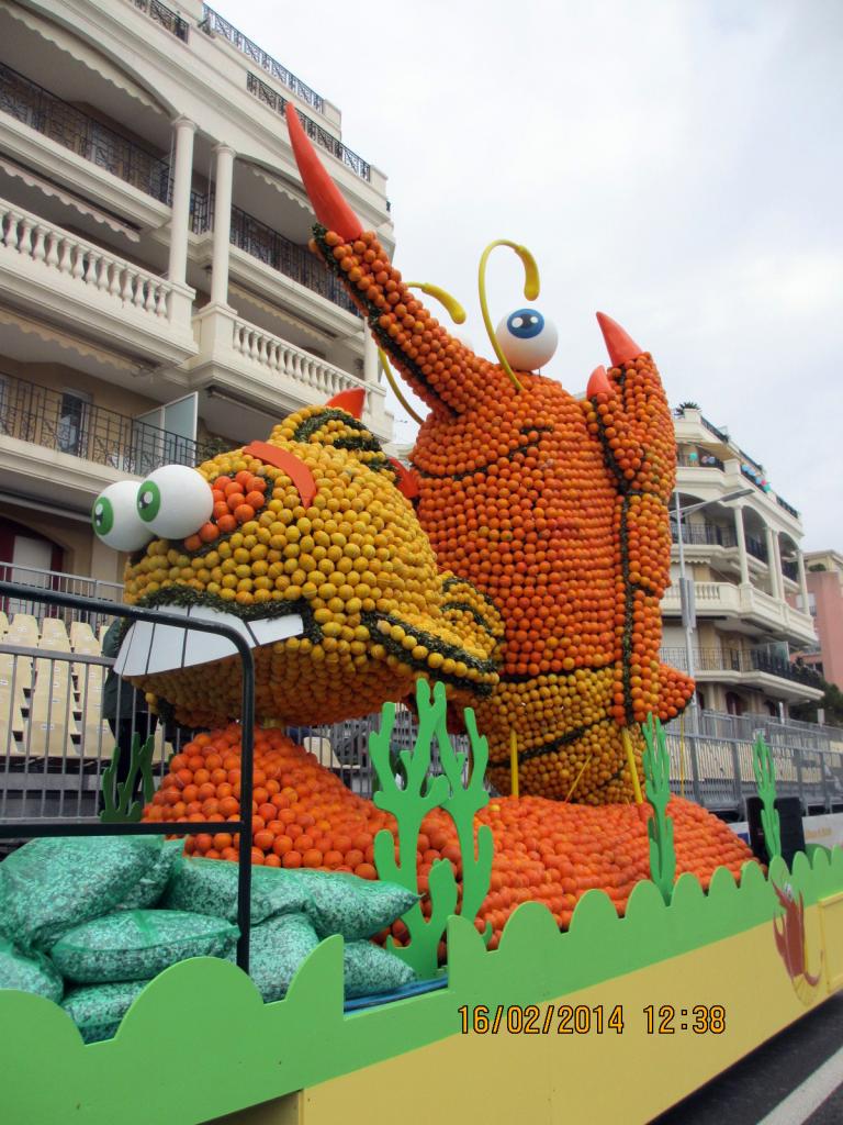 Fête des citrons 2014 (9)