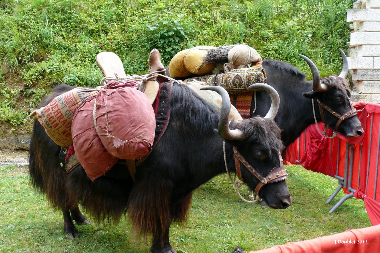 Fort de Condé (10 ans)29 juin 2013 (5)