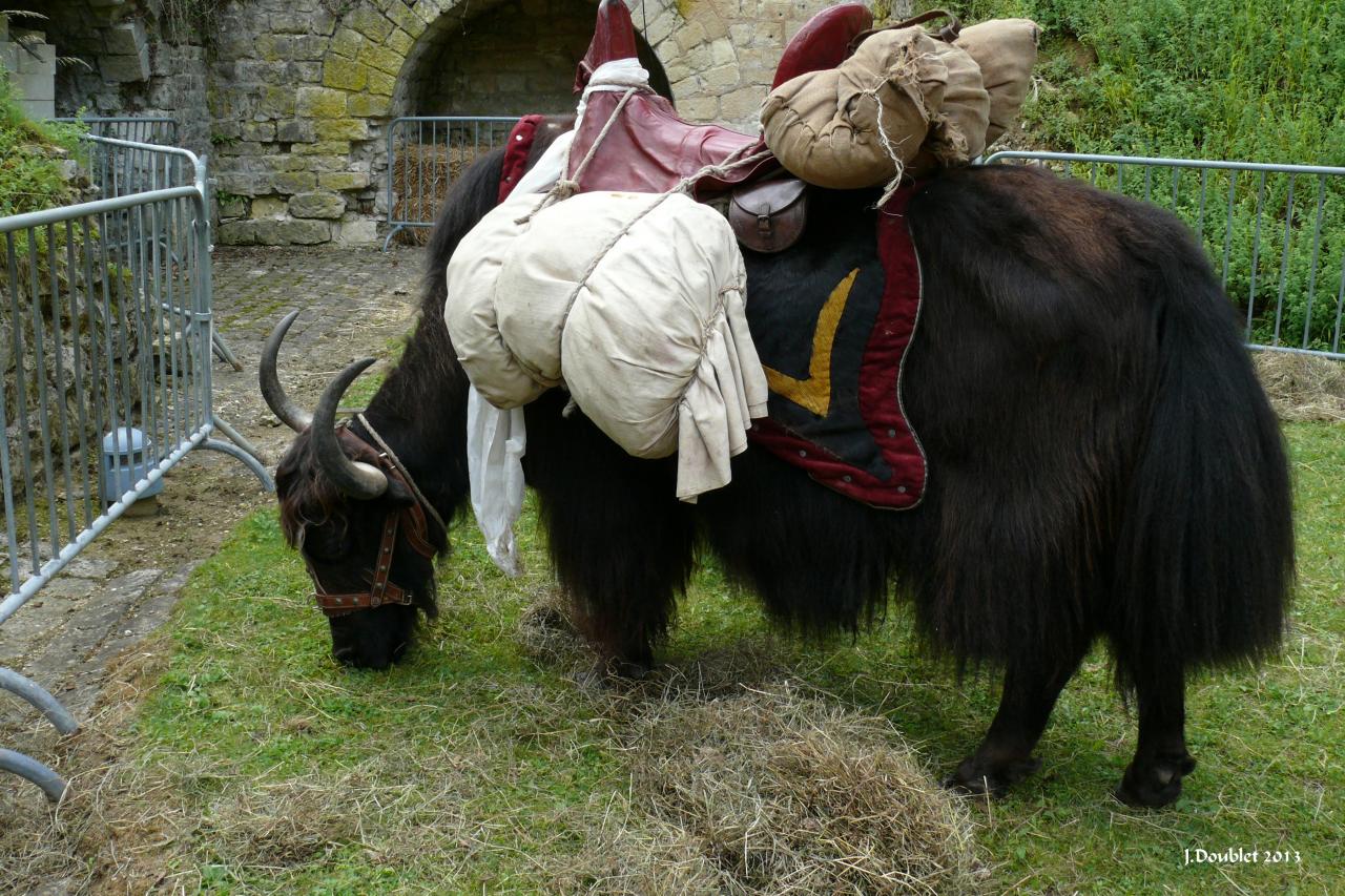 Fort de Condé (10 ans)29 juin 2013 (6)