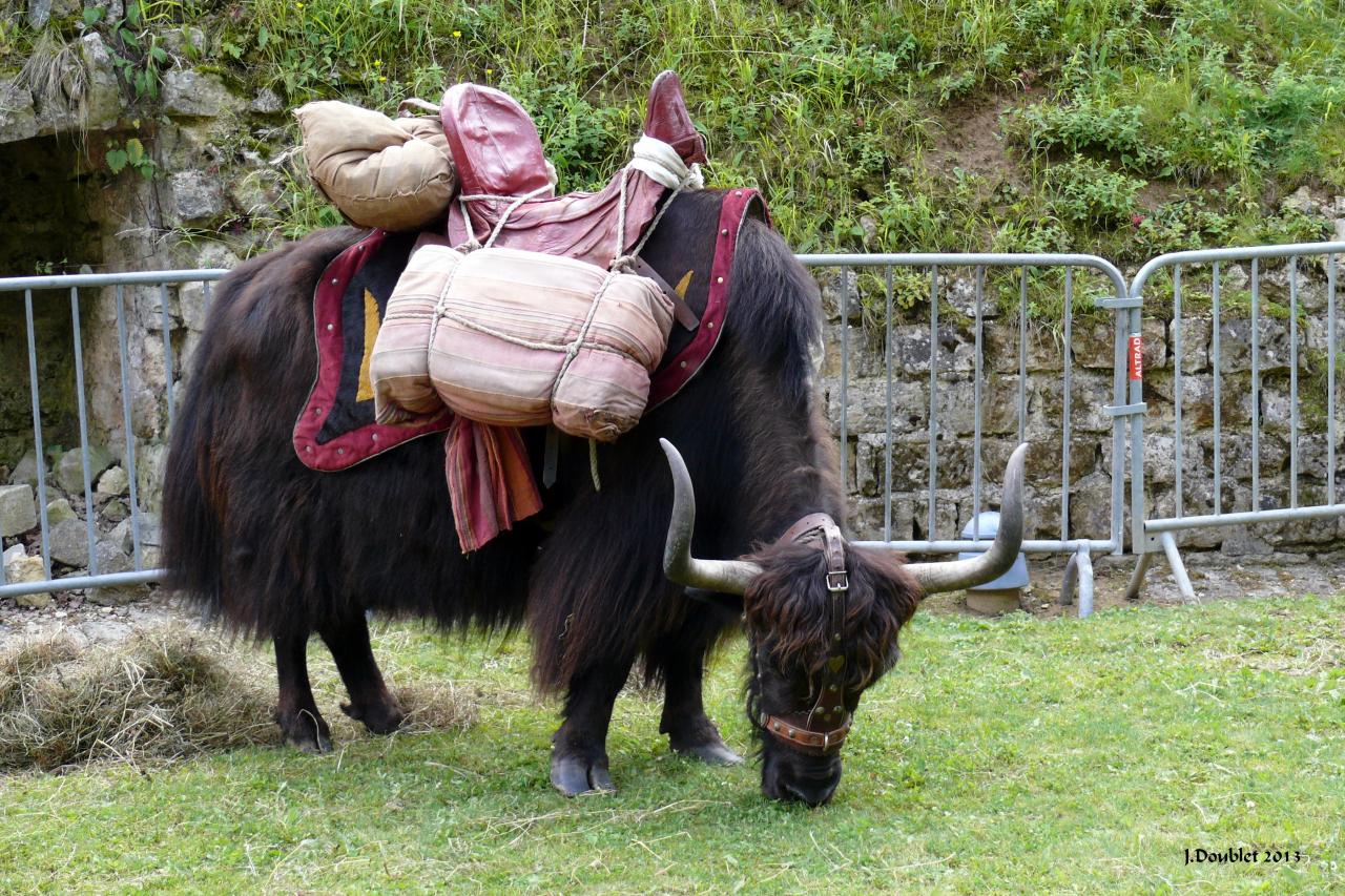 Fort de Condé (10 ans)29 juin 2013 (9)