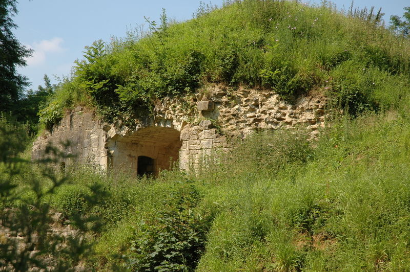 Fort de Condé (21)