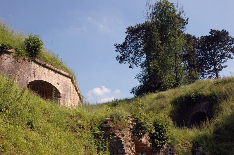 Fort de Condé (25)