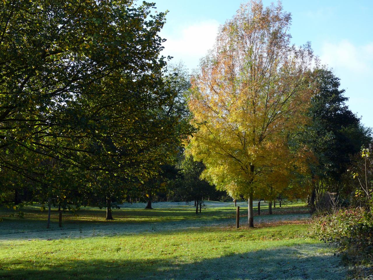 Fort de Condé 28.10.2012 (15)