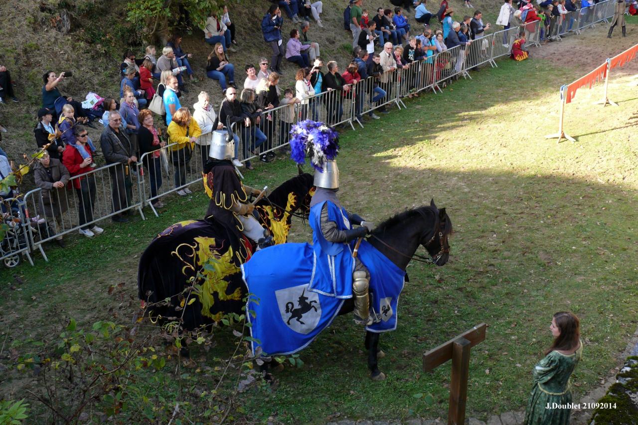 Fort de Condé Journée du cheval 2014 (101)