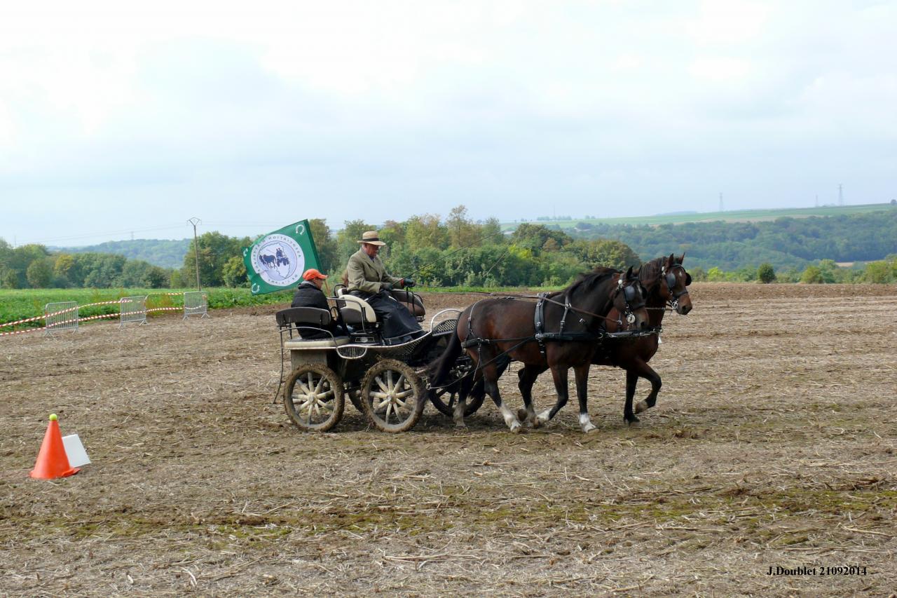 Fort de Condé Journée du cheval 2014 (19)