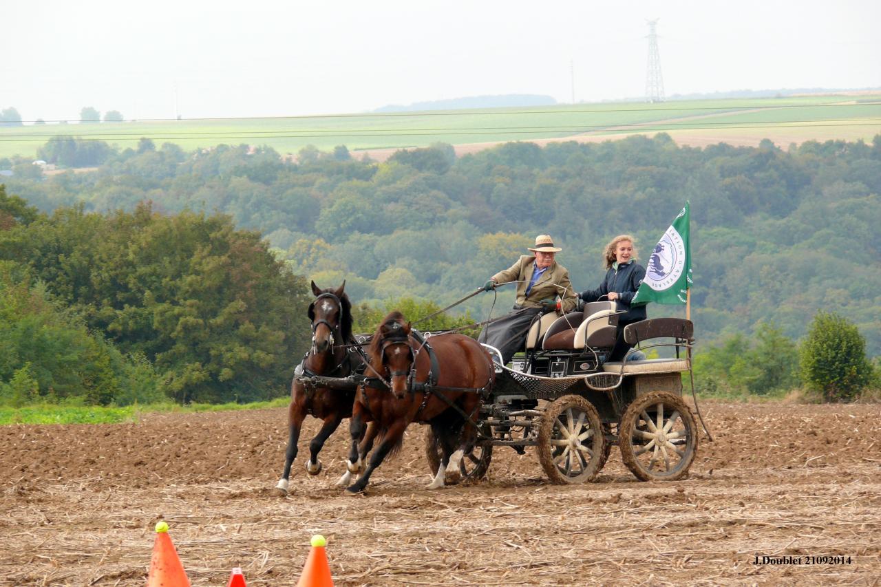 Fort de Condé Journée du cheval 2014 (21)