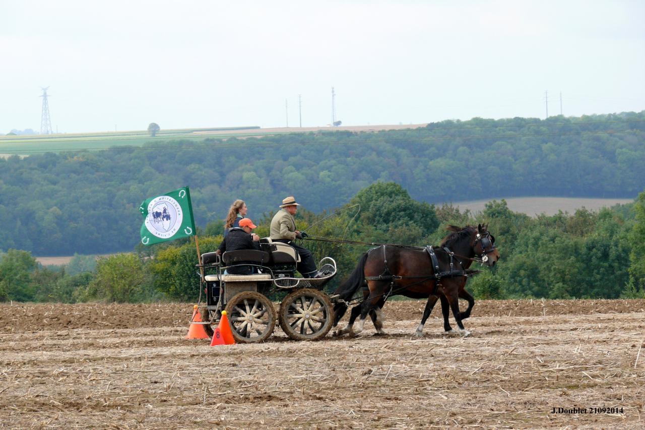 Fort de Condé Journée du cheval 2014 (22)