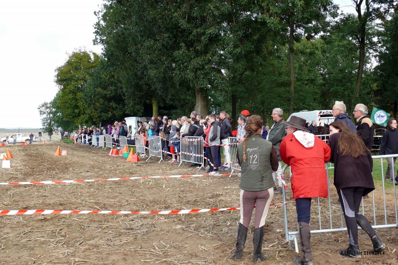 Fort de Condé Journée du cheval 2014 (27)