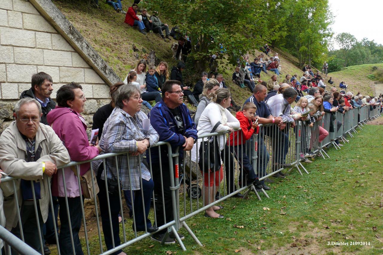 Fort de Condé Journée du cheval 2014 (30)