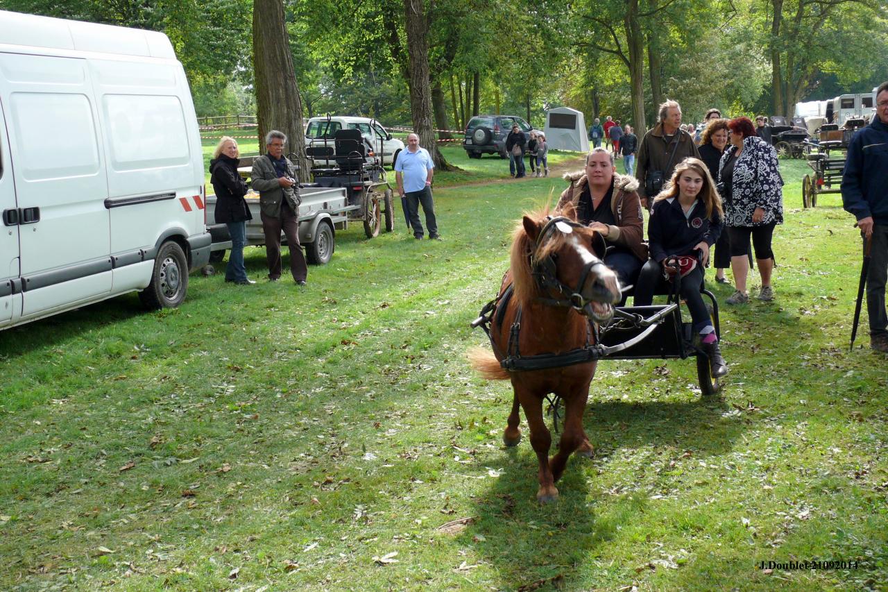 Fort de Condé Journée du cheval 2014 (5)
