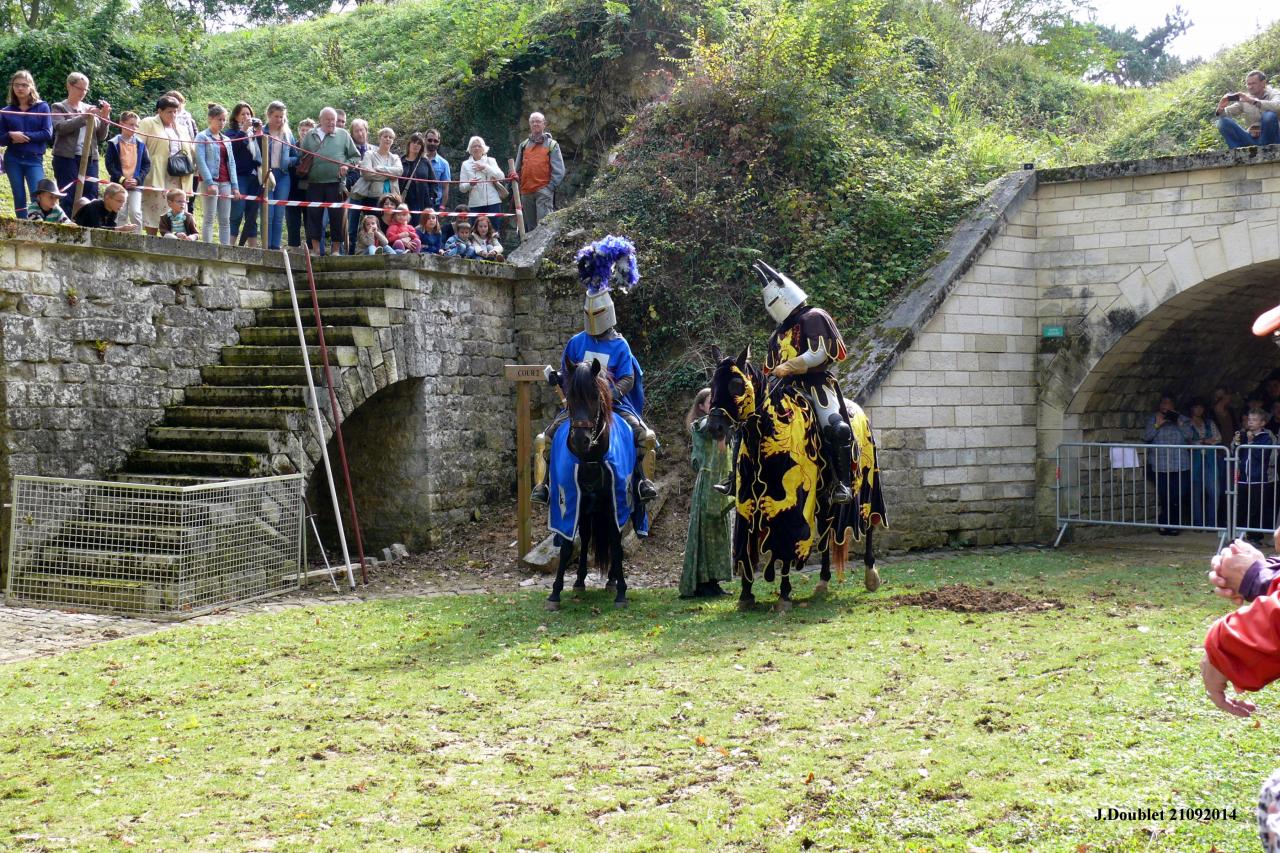 Fort de Condé Journée du cheval 2014 (54)