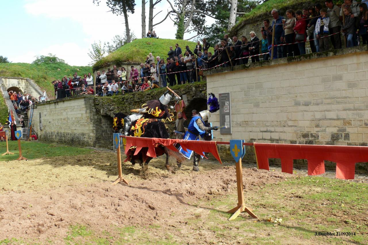 Fort de Condé Journée du cheval 2014 (65)