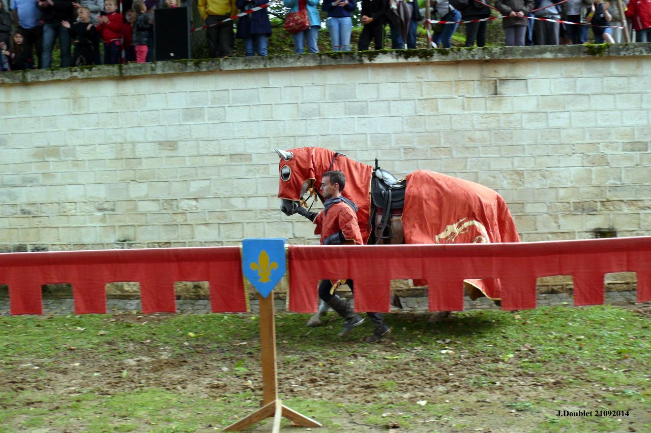 Fort de Condé Journée du cheval 2014 (74)