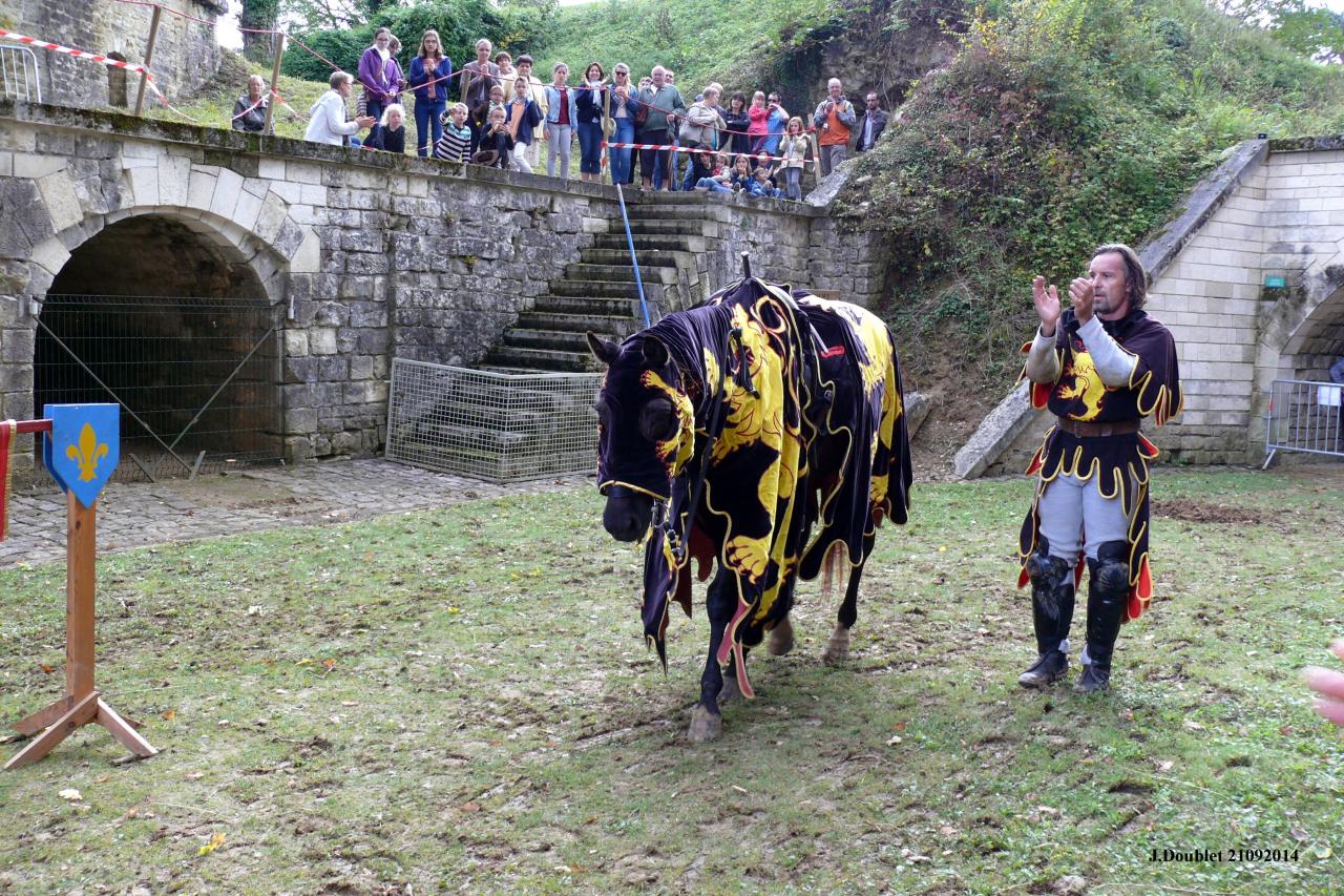 Fort de Condé Journée du cheval 2014 (77)