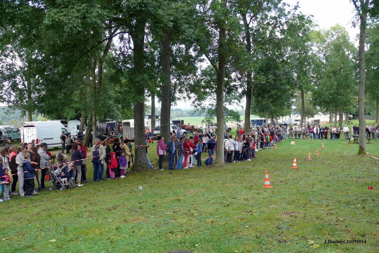 Fort de Condé Journée du cheval 2014 (83)