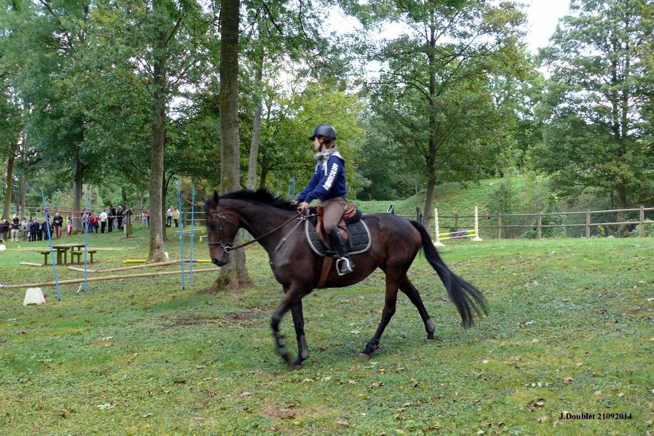 Fort de Condé Journée du cheval 2014 (85)