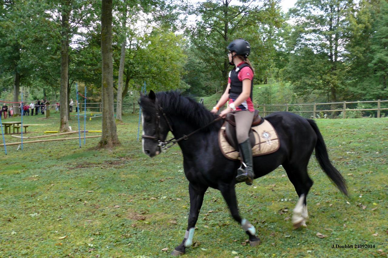 Fort de Condé Journée du cheval 2014 (86)