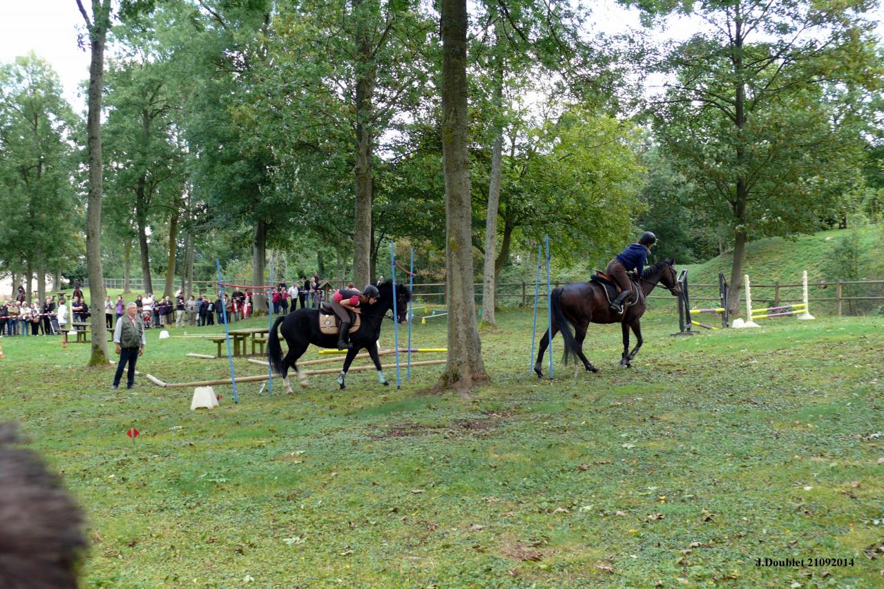 Fort de Condé Journée du cheval 2014 (87)