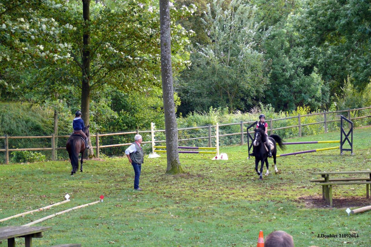 Fort de Condé Journée du cheval 2014 (88)