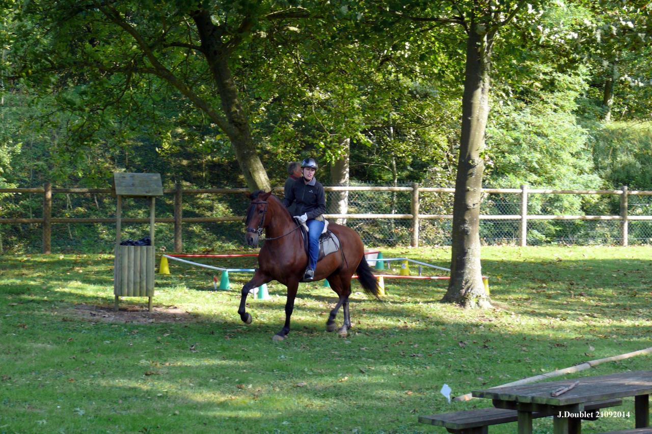 Fort de Condé Journée du cheval 2014 (89)
