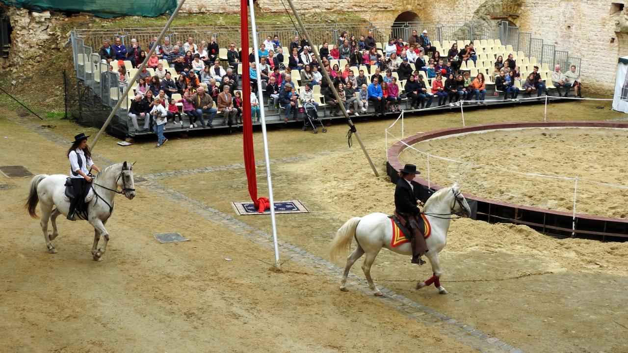 Fort de Condé spectacle équestre  (1)