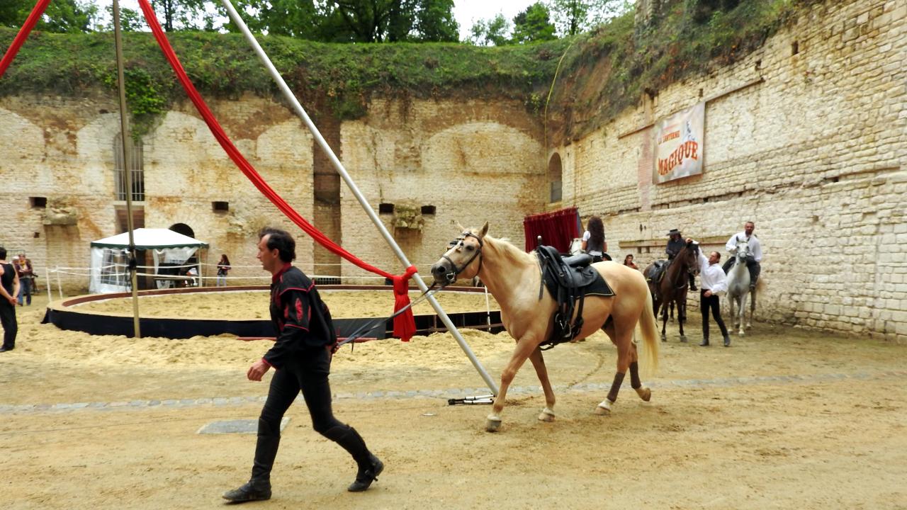Fort de Condé spectacle équestre  (100)