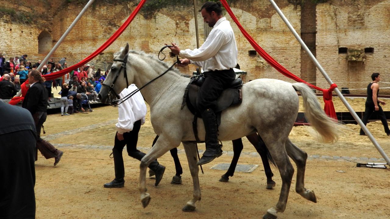 Fort de Condé spectacle équestre  (101)