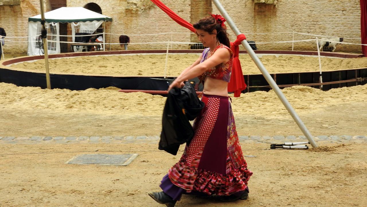 Fort de Condé spectacle équestre  (102)