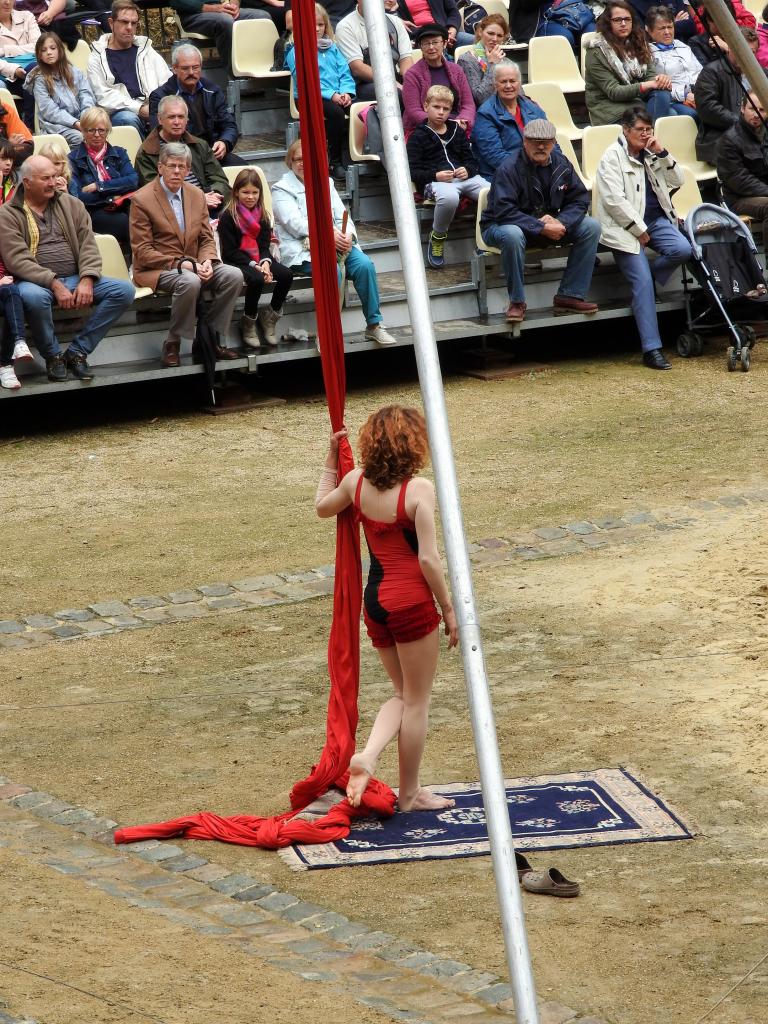 Fort de Condé spectacle équestre  (17)