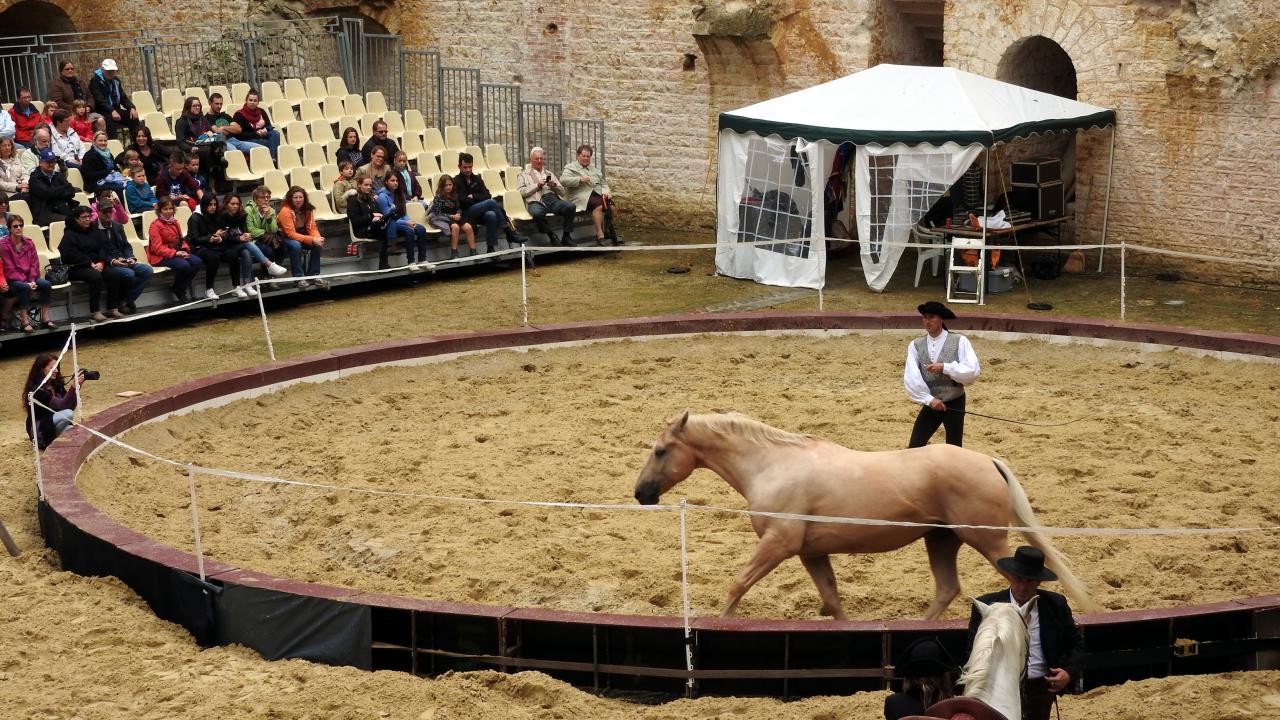 Fort de Condé spectacle équestre  (18)