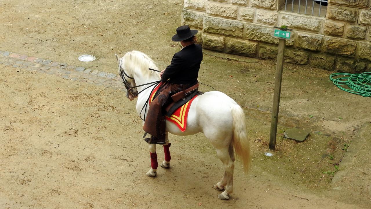Fort de Condé spectacle équestre  (19)