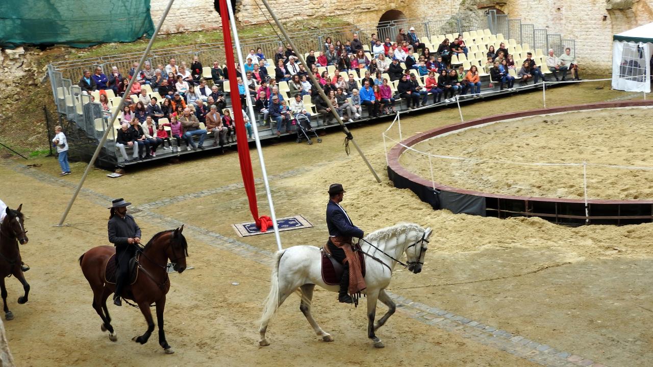 Fort de Condé spectacle équestre  (2)