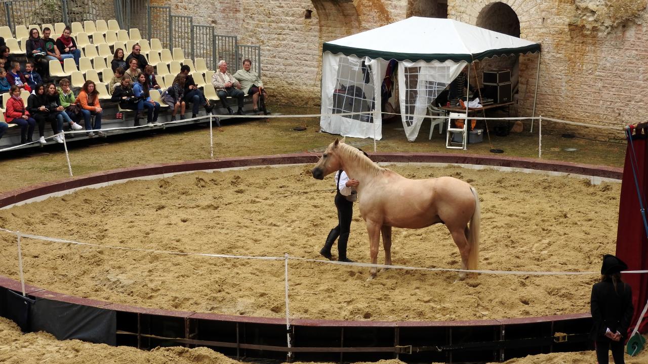 Fort de Condé spectacle équestre  (20)