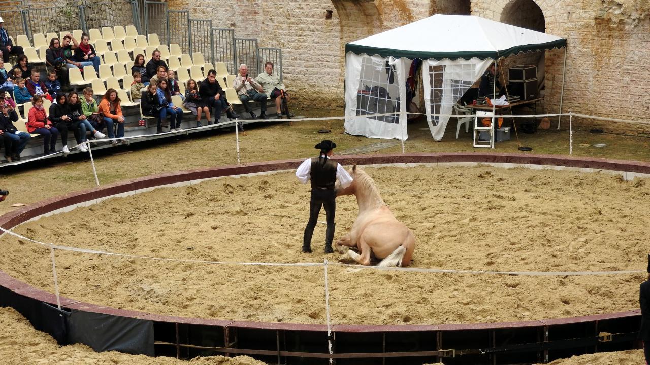 Fort de Condé spectacle équestre  (21)