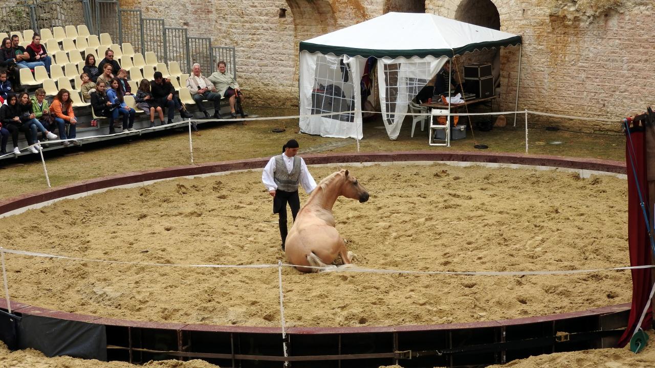 Fort de Condé spectacle équestre  (22)