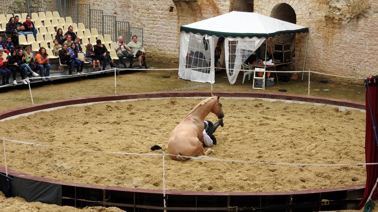 Fort de Condé spectacle équestre  (23)
