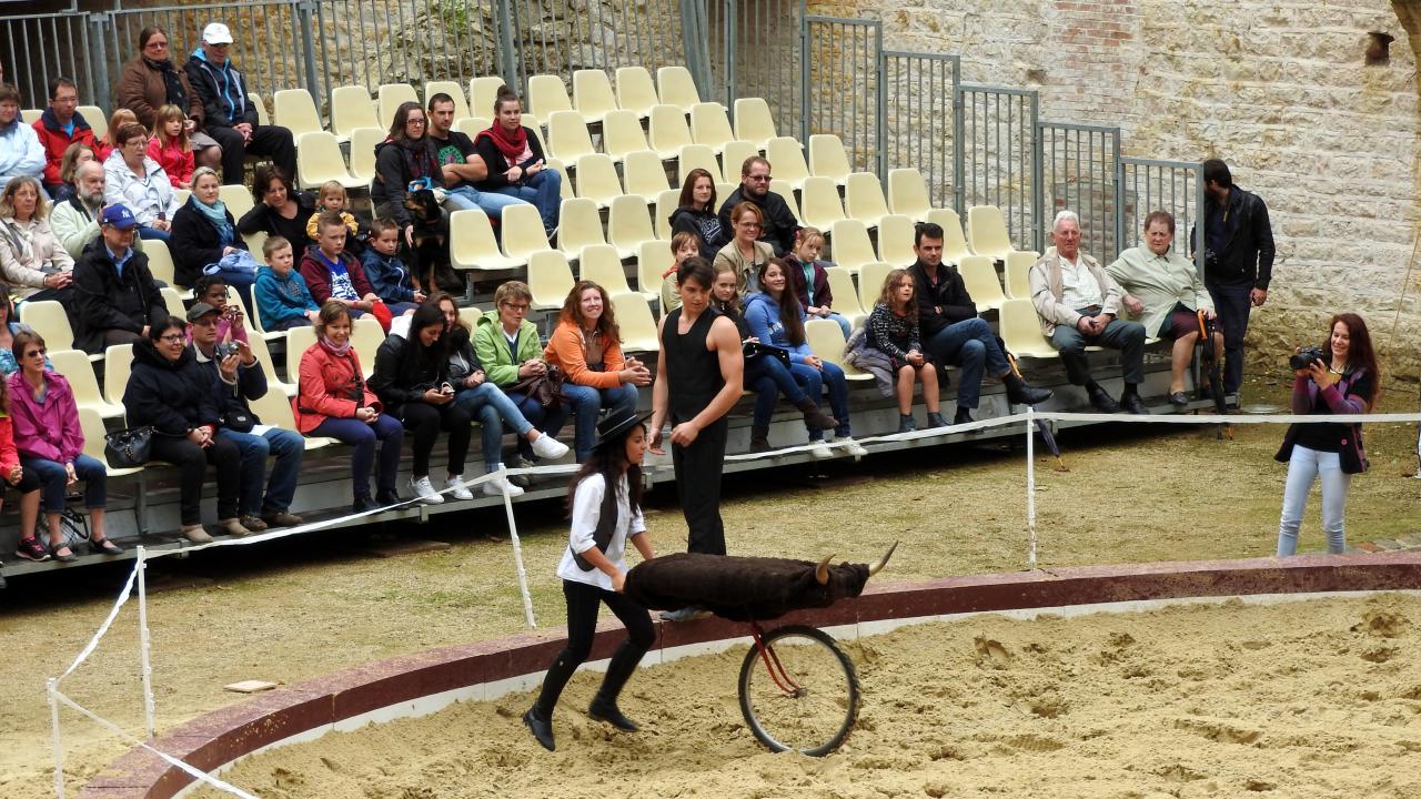 Fort de Condé spectacle équestre  (24)