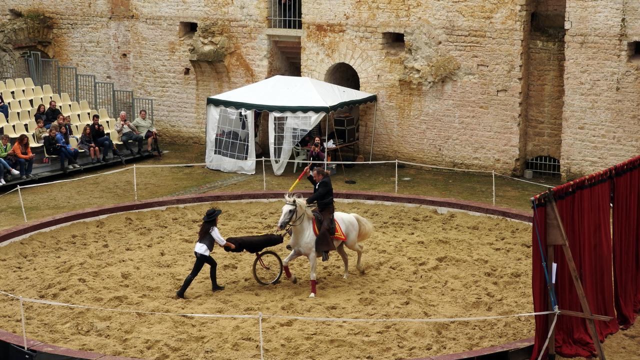 Fort de Condé spectacle équestre  (25)