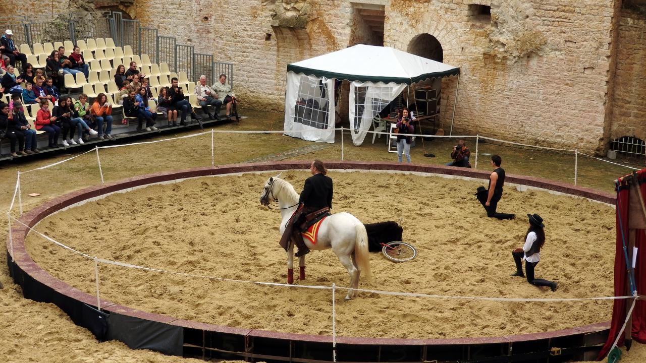 Fort de Condé spectacle équestre  (26)