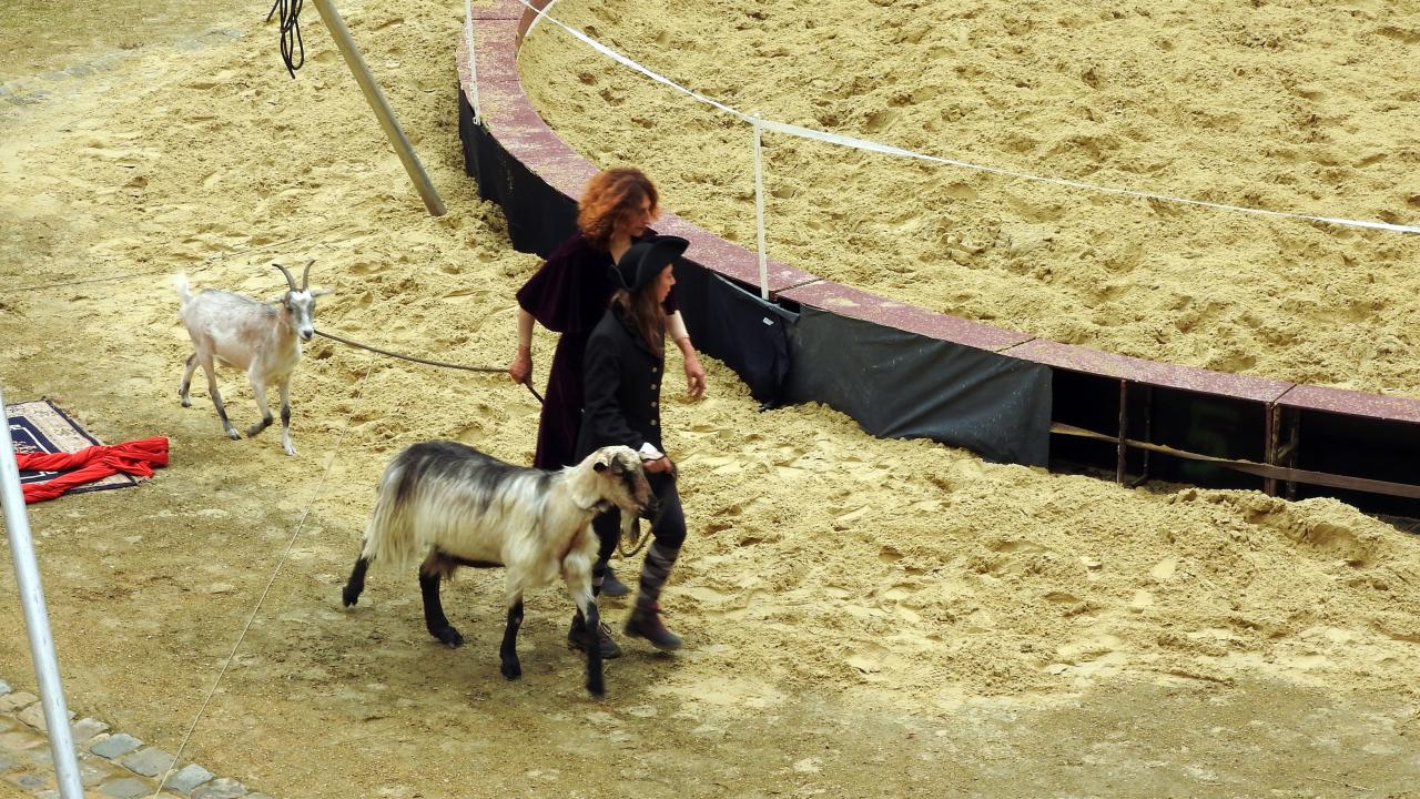 Fort de Condé spectacle équestre  (28)